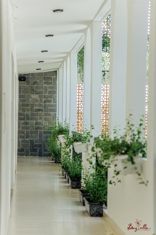 Bong Villa Hotel & Apartment photo