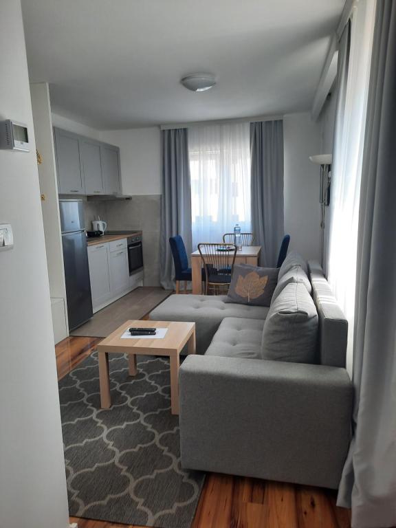 Divizija Lux apartments - 3