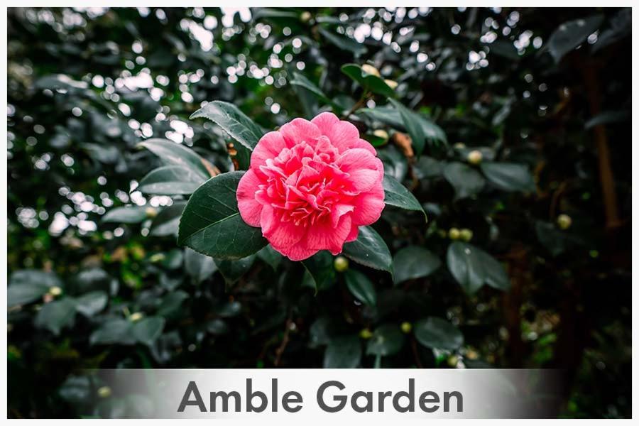 Amble at Hahndorf B&B photo