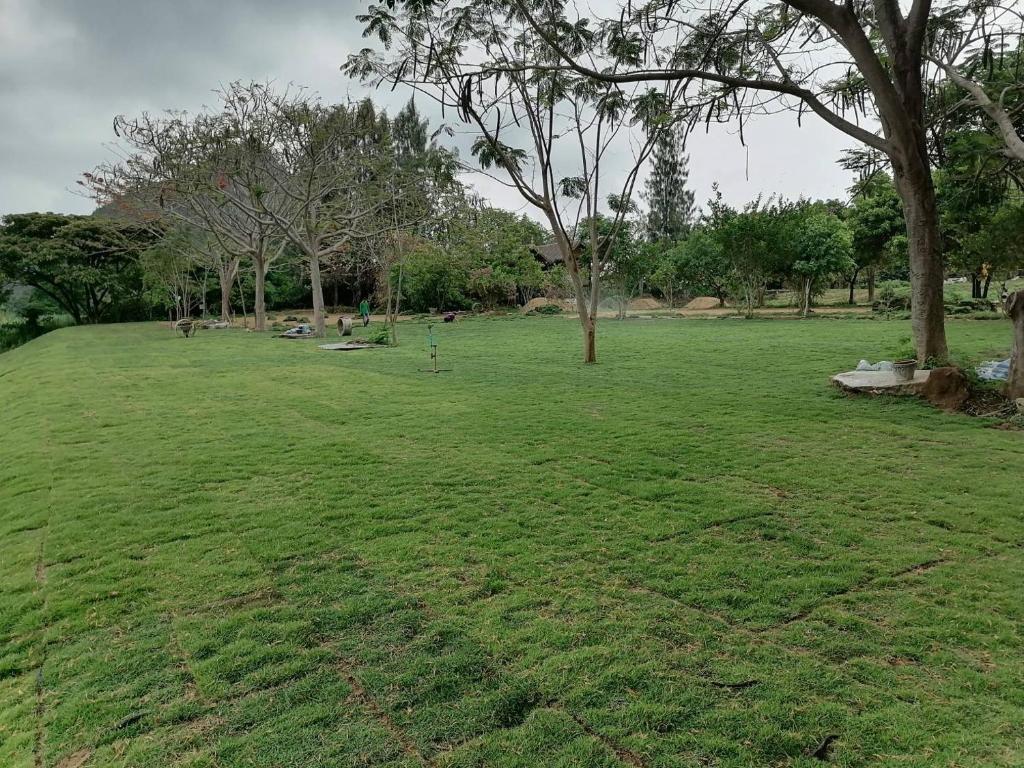 สภาพแวดล้อมโดยรอบ