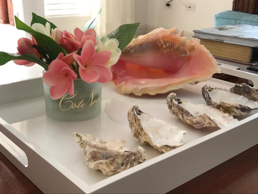 Shimmers, stunning, stylish West Coast Villa photo