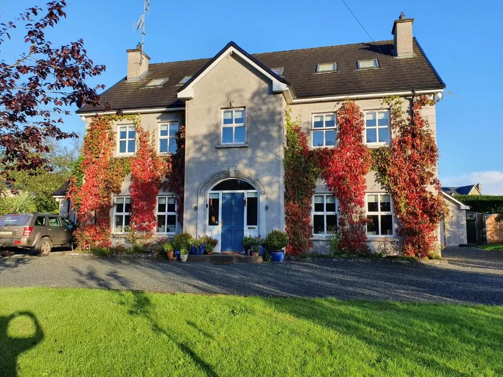 Lynster House, hotel in Monaghan
