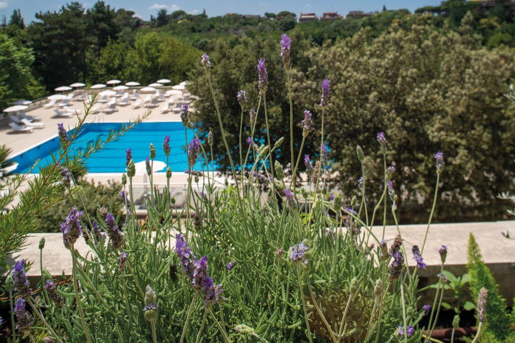 Hotel Villa Pamphili Roma - 5