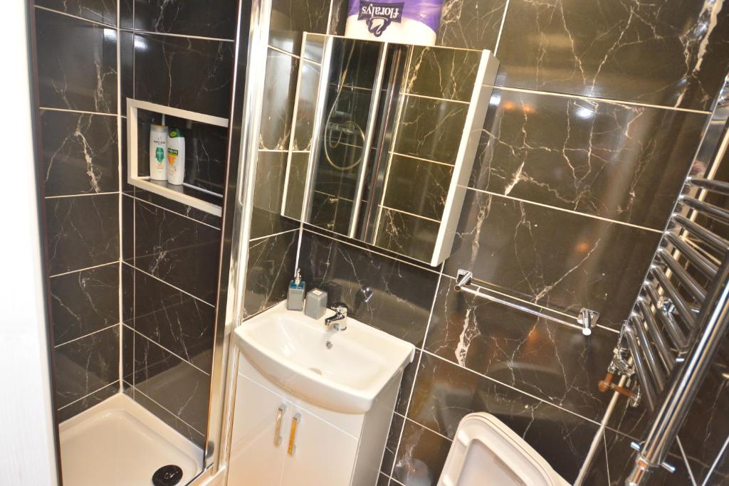 Newly refurbished 3 bedroom house London photo