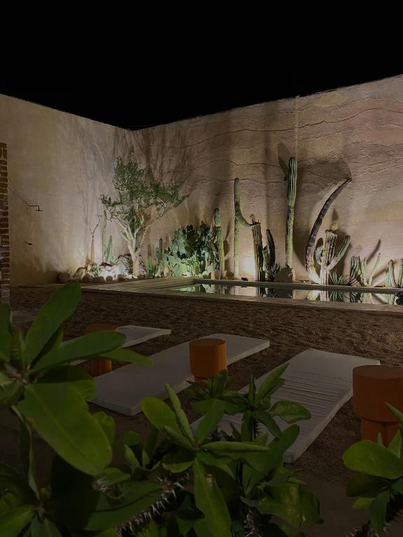 Casa Bo photo