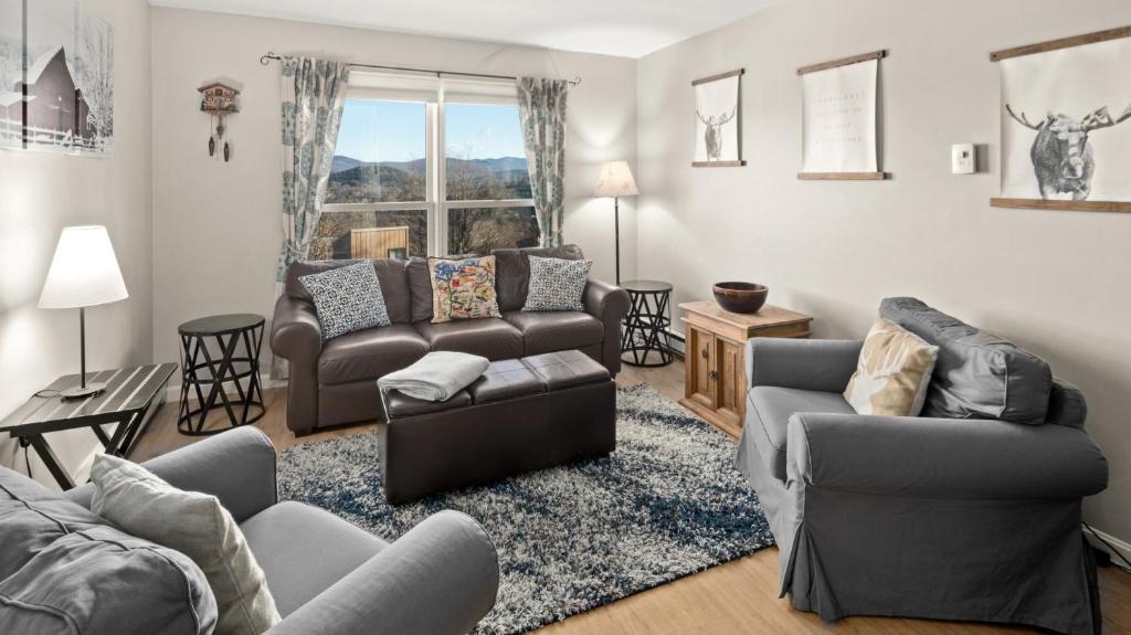 73 North Lynx condo