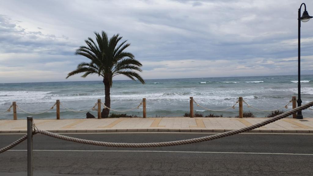 Apartamento en primera linea de mar. - 4