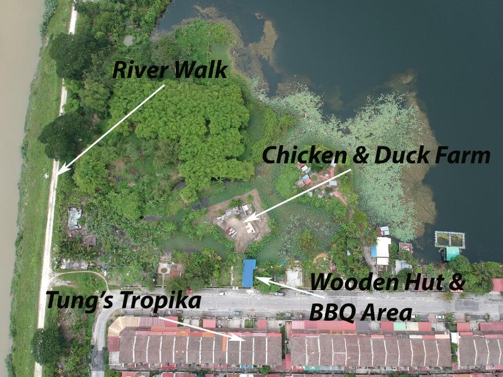 Tung's Tropika - with a wooden hut by a lake photo