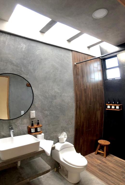 Black flamingo, Ostrov Holbox