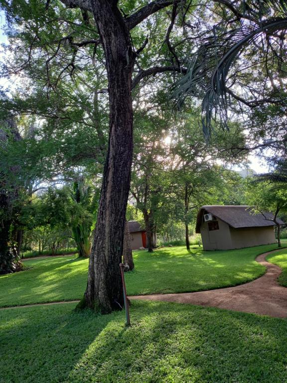 Shumba Safaris Bush Camp photo