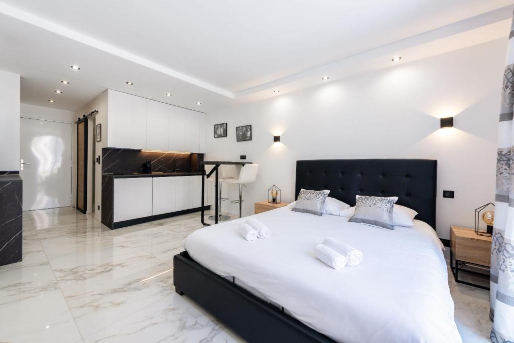 Large studio - 50m Cannes beach - terrace sea view - 5
