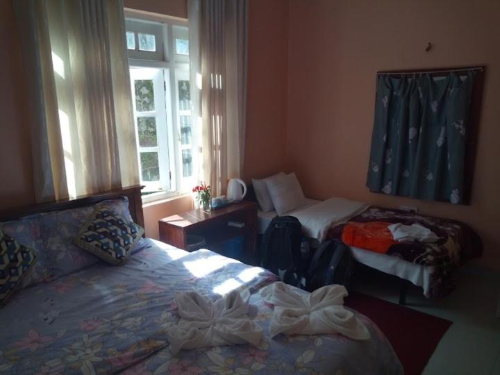 Vibe way (Hostel & Market farm) photo