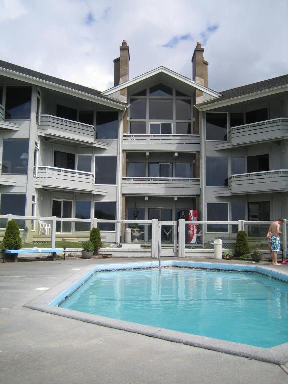 Grey Gull, Ocean Shores
