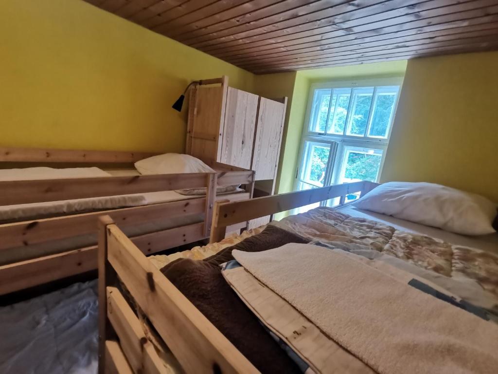  Single Bed in Dormitory Room with Shared Bathroom