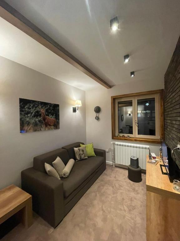 Luna Apartman, Župa Kopaonik - 3