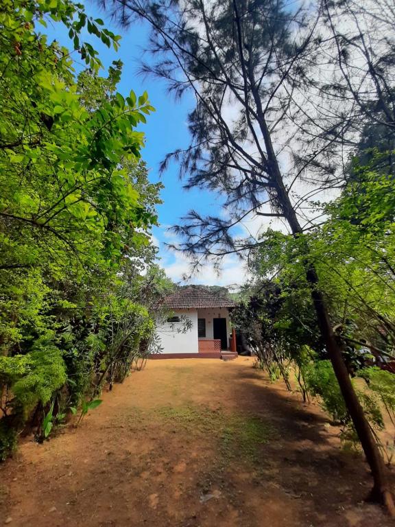 Tusker Tribe Hostel photo
