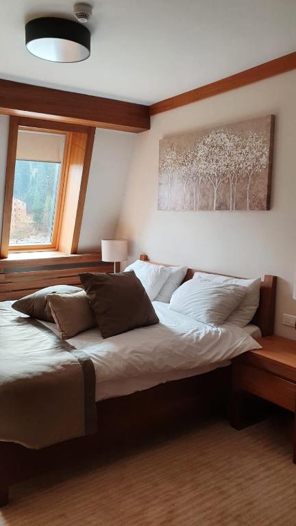 Apartment B513 - 2