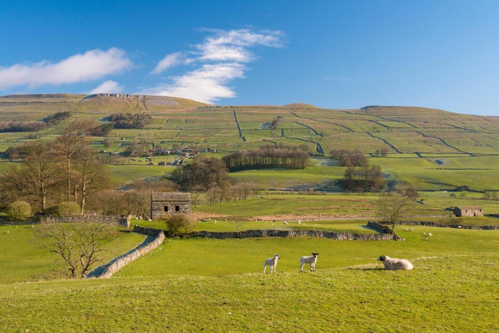 Aysgarth Falls Hotel & Restaurant photo