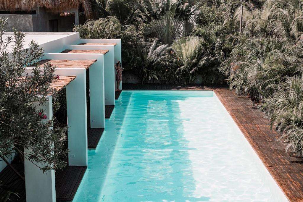 Swell — Hotel in El Paredon Buena Vista