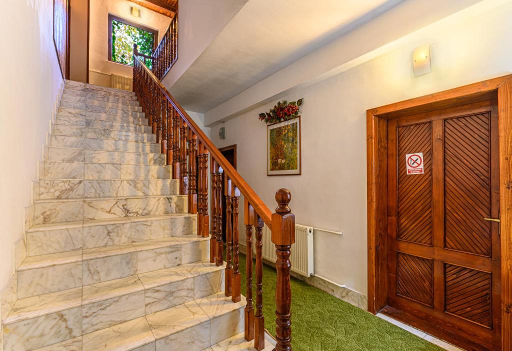Pension Casa Bradul photo