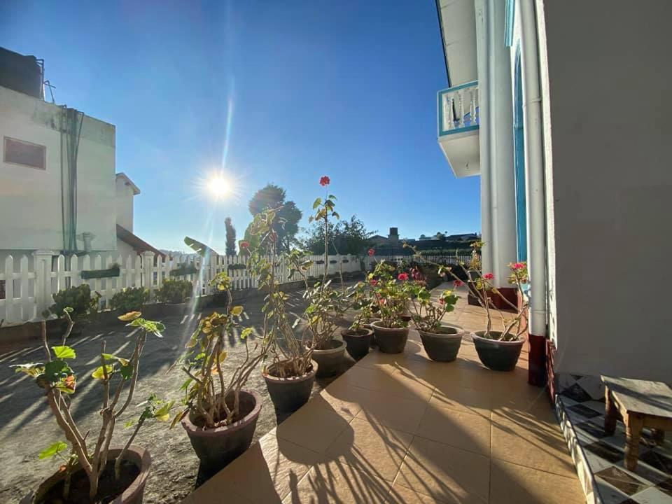 Vibe way (Hostel & Market farm) photo