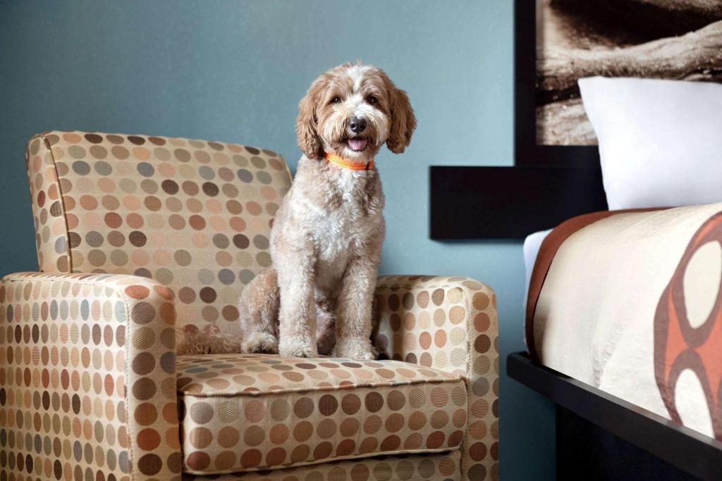 Super 8 By Wyndham Whites Creek/ Nashville Nw Area Photo 32