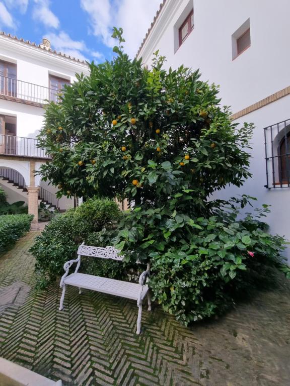 Apartamento de dos dormitorios en Plaza Alfaro - 2