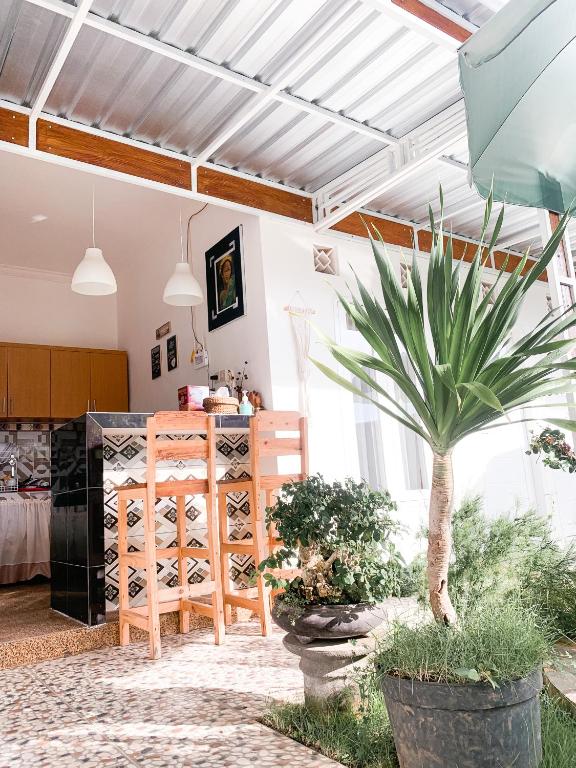 Tropical Paradiso Homestay