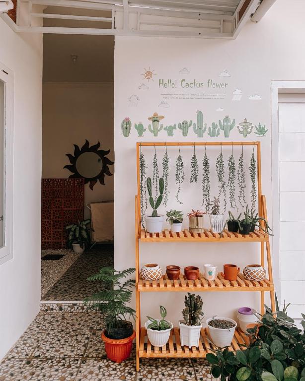 Tropical Paradiso Homestay