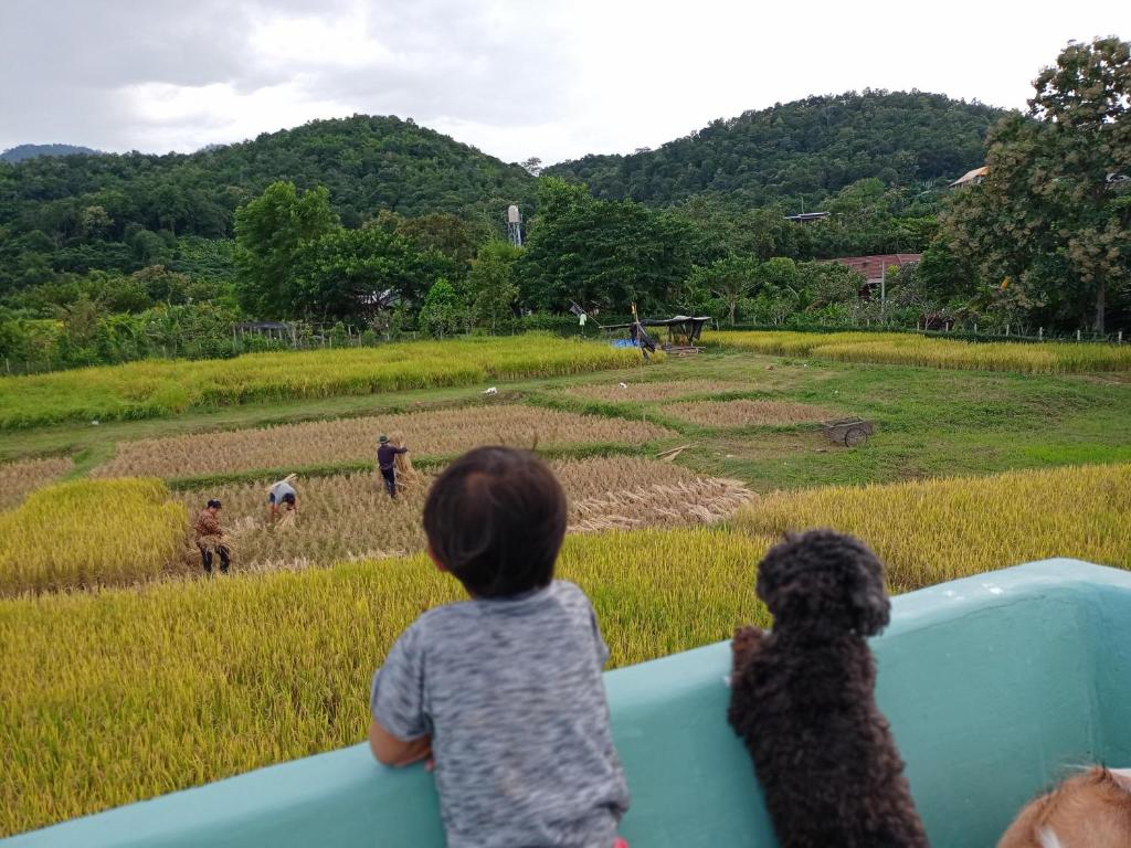 View