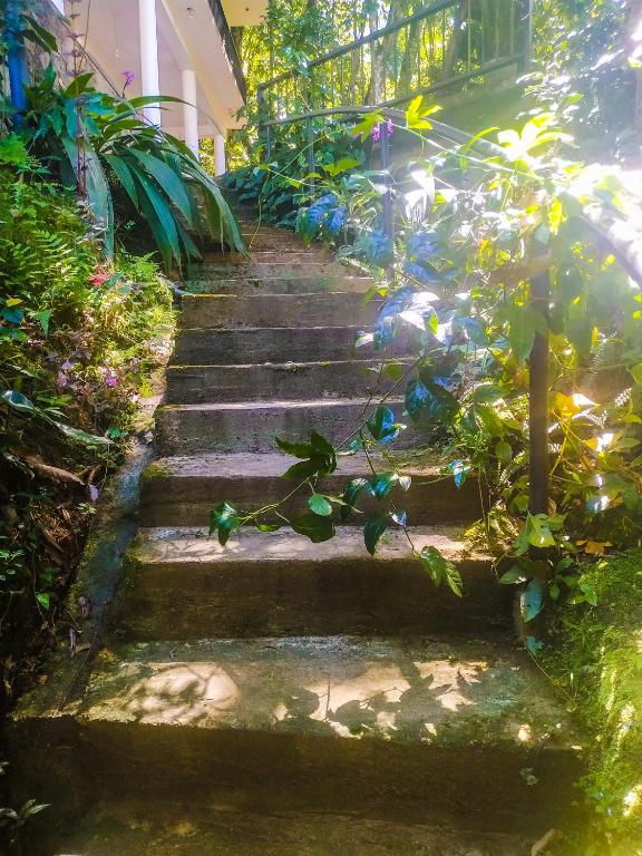 Samadhi Nature Resort photo