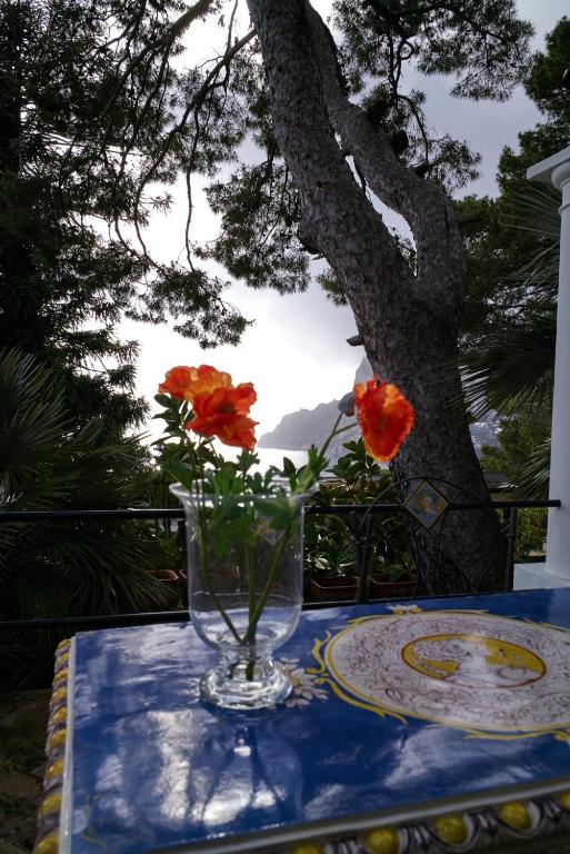 Villacore Luxury Guest House photo