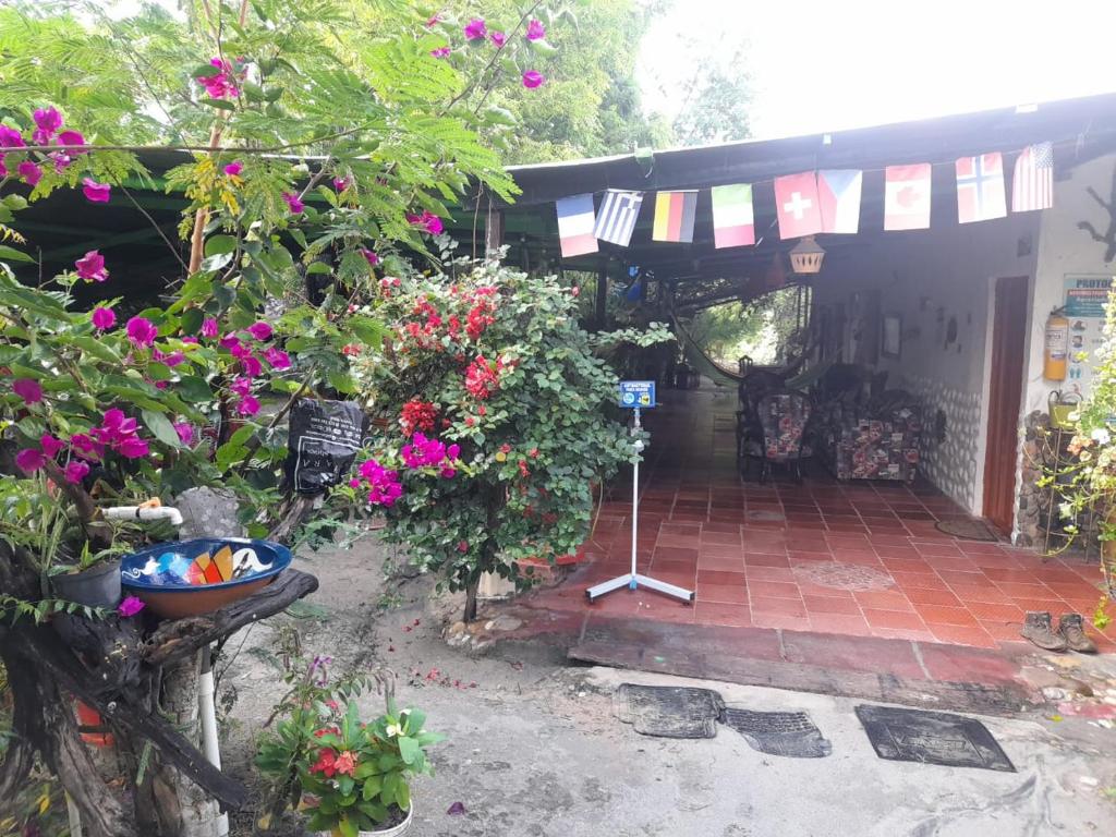 Alojamiento Casa de campo los Cactus photo