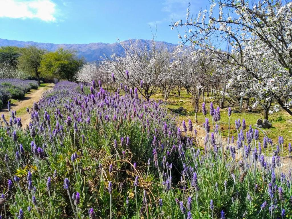 Finca La Julia photo