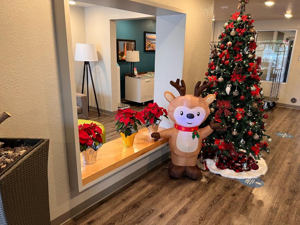 Woodspring Suites Orlando International Drive photo