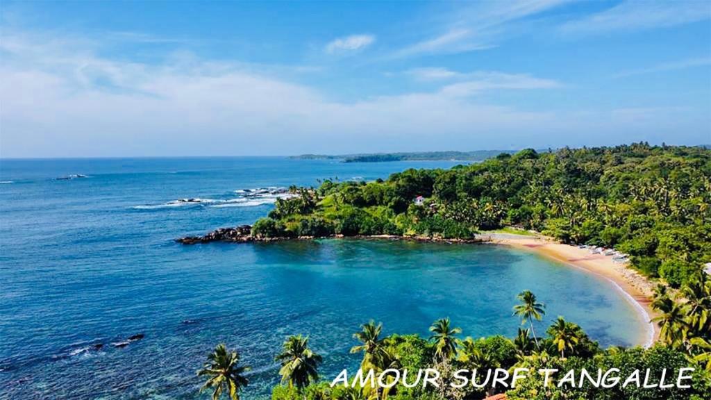Amour Surf photo