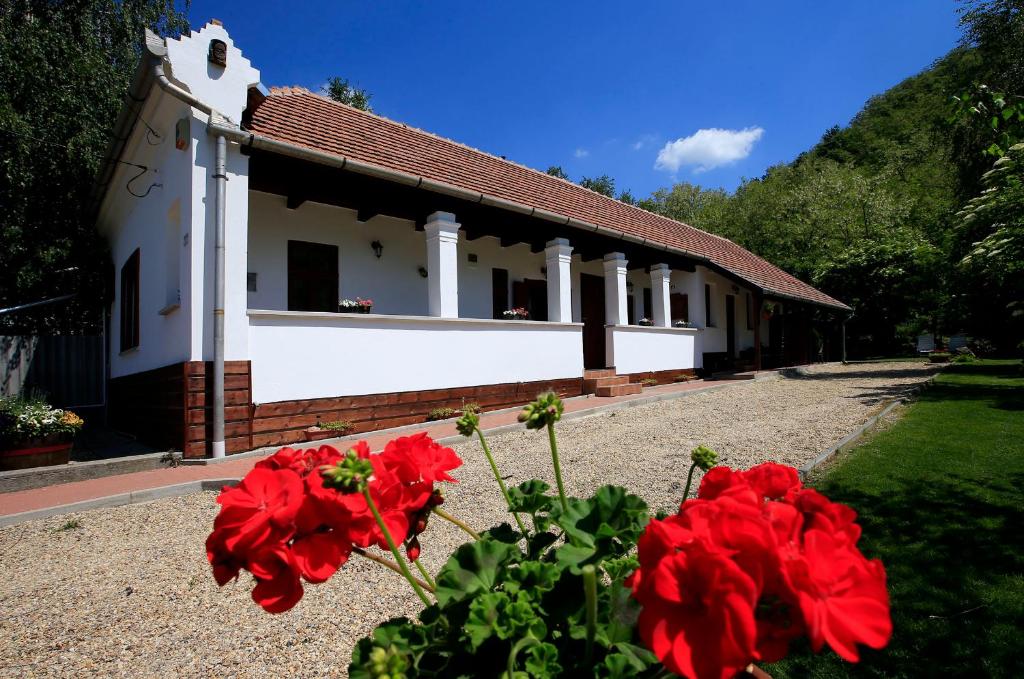 Bodza Vendeghaz - Apartmanhaz — Hotel in Eger