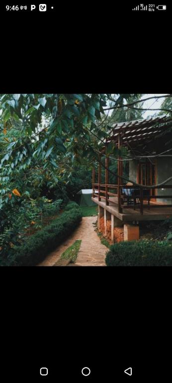 Lushoto Pazuri, Makungulu