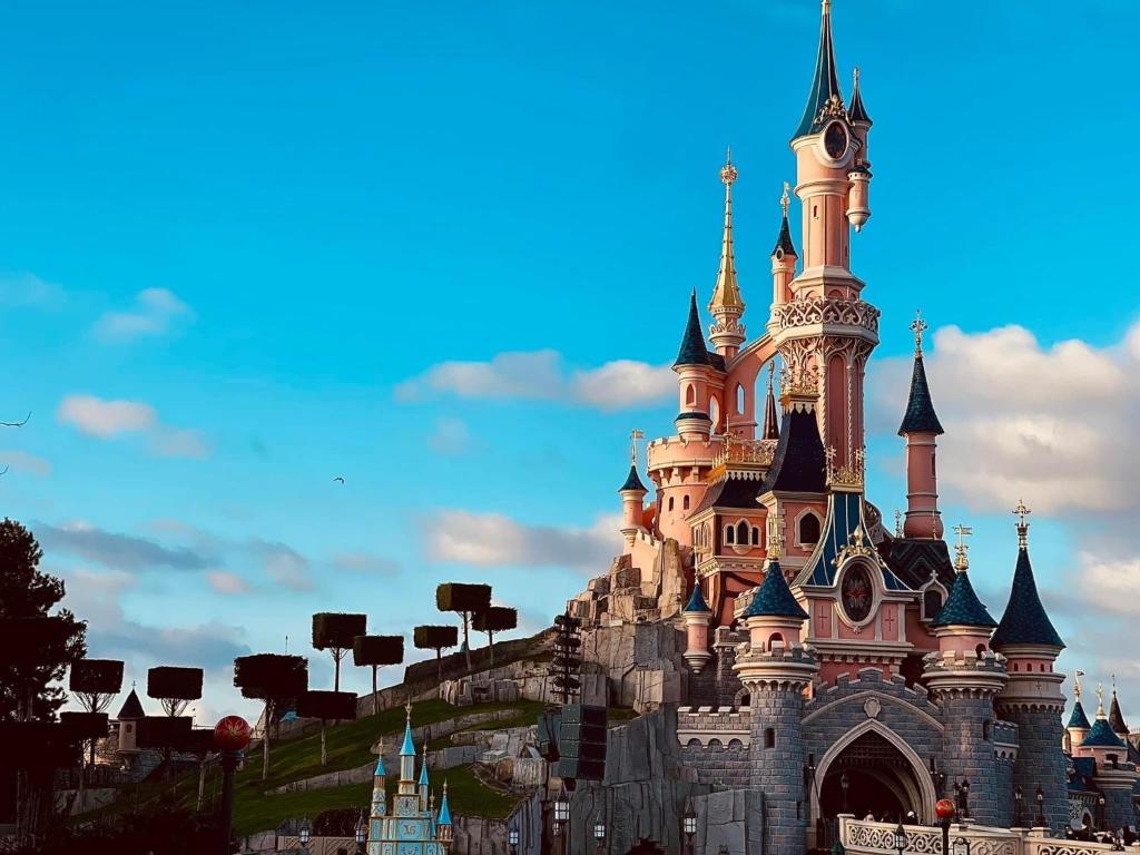 Bel appartement « The Lion King » proche Disney photo