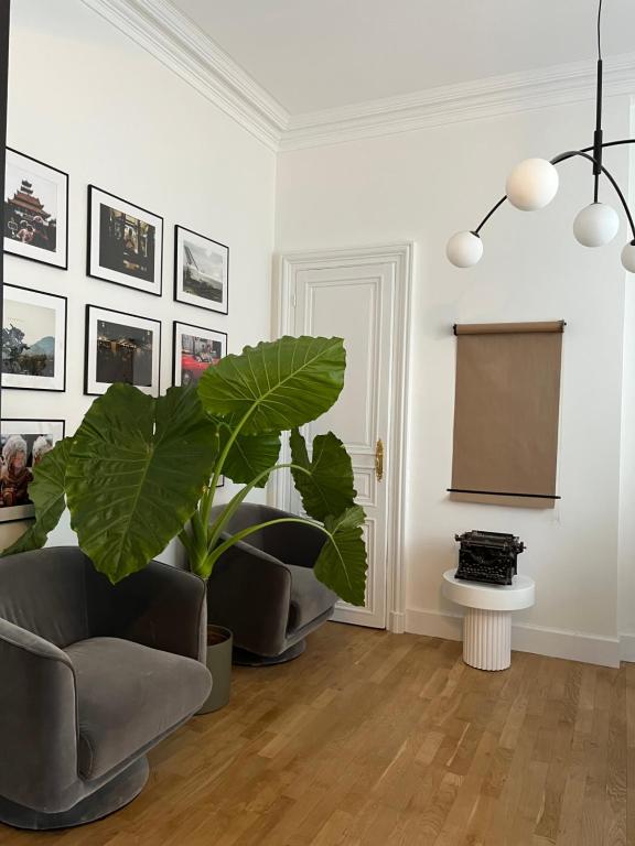 La Maison de Reina photo