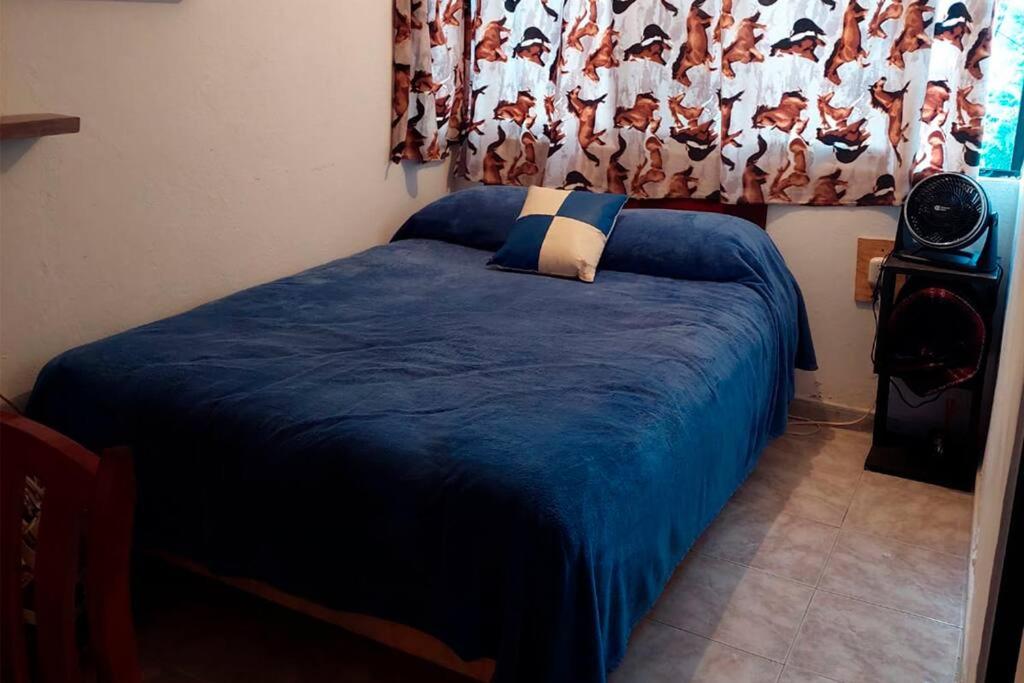 Habitación 6