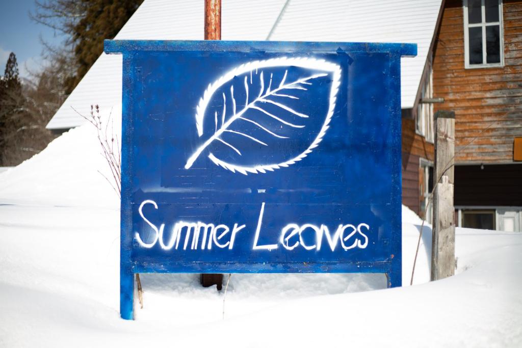Summer Leaves photo