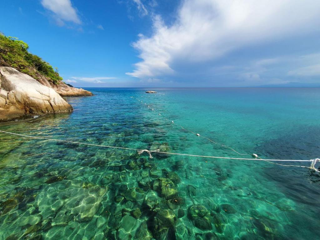 Surrounding environment