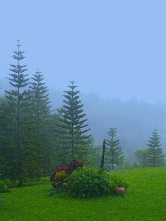 Baan Ing Phu บ้านอิงภู photo