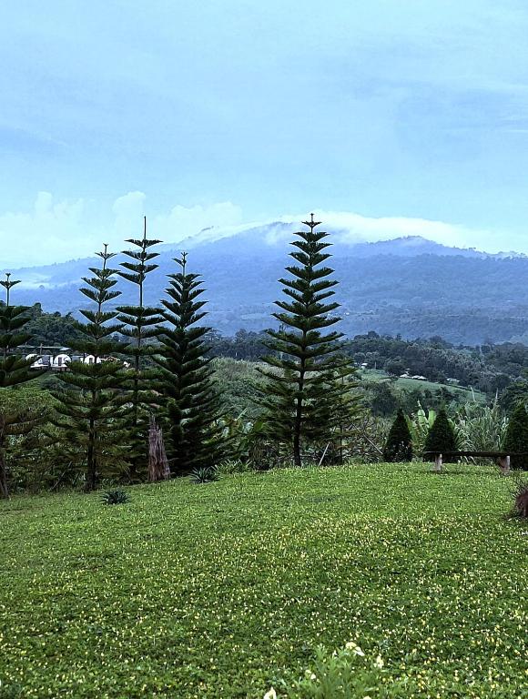 Baan Ing Phu บ้านอิงภู photo
