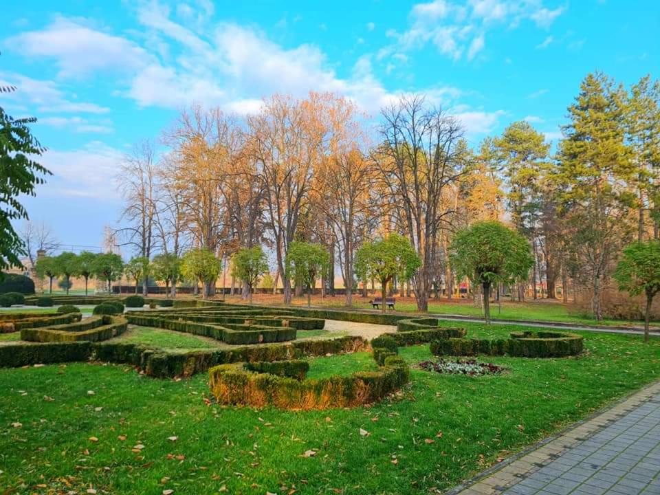Studio apartman Elena - Banja Koviljača - 4