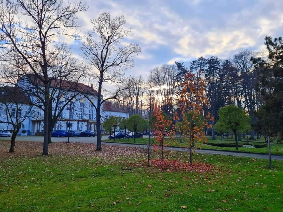 Studio apartman Elena - Banja Koviljača - 3