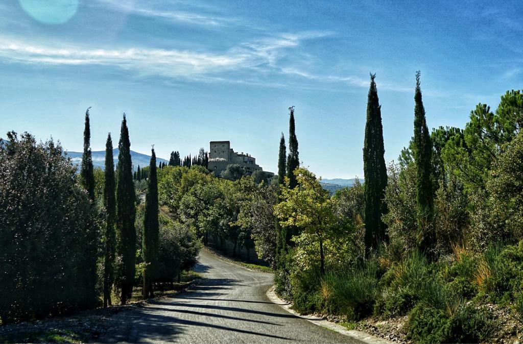 Castello di Velona Resort, Thermal SPA & Winery - 4