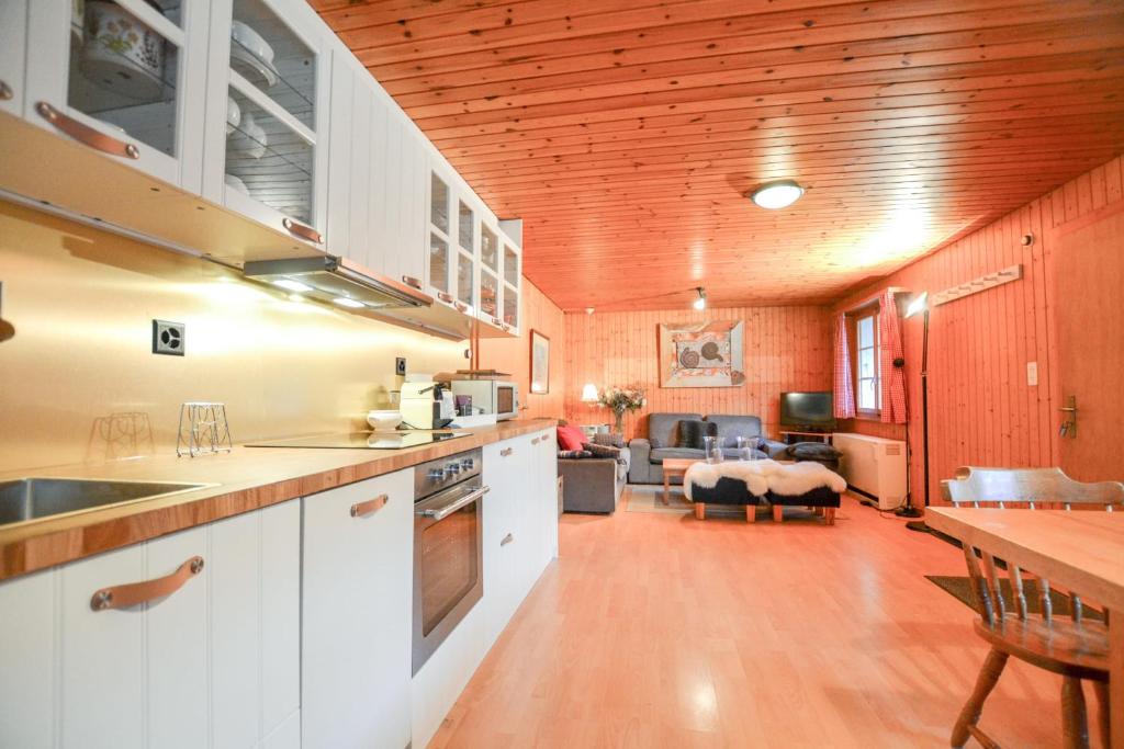 Chalet Castellani Apartment - 4