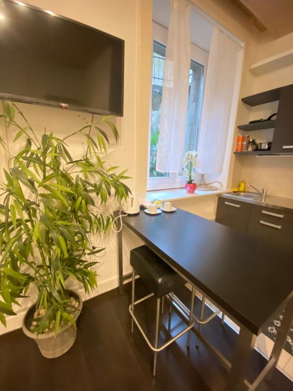 B&B Guest House Du Lac - 5